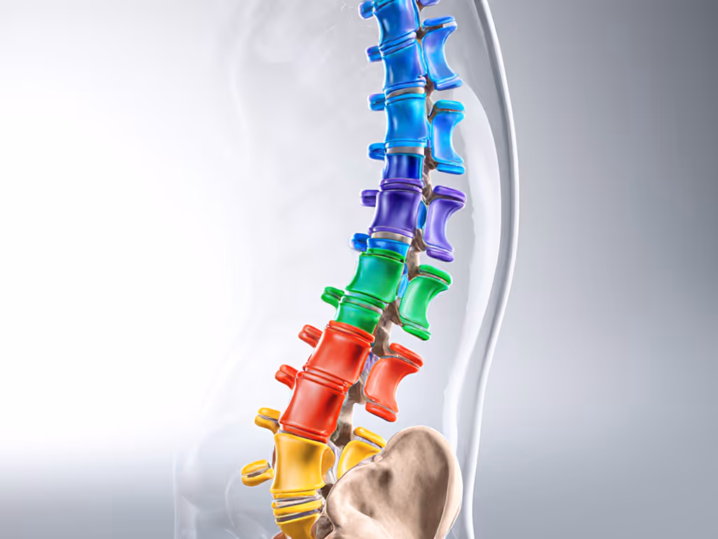 spinal-disc-pressure-distribution-mapping
