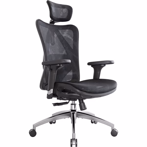 SIHOO M57 Ergonomic Office Chair