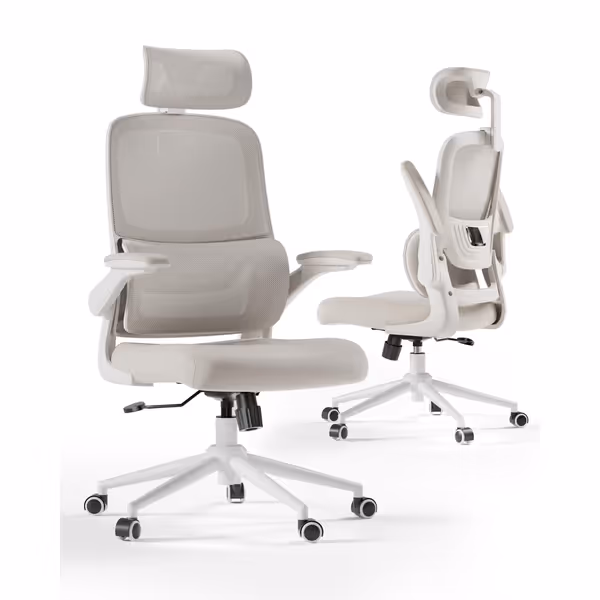 Hbada P1 Ergonomic Office Chair